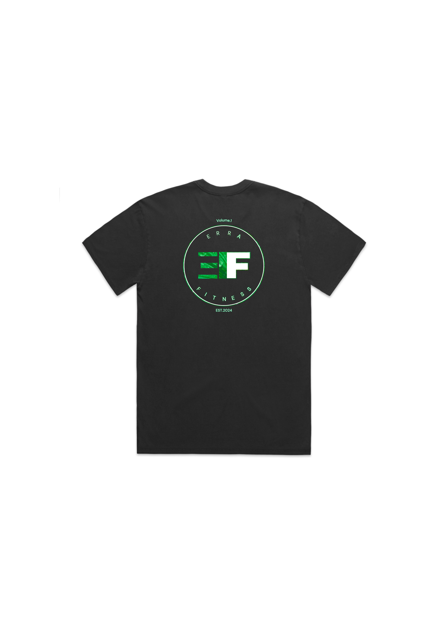 Dragonglass Green Vol.1 Mens Heavy Faded Tee