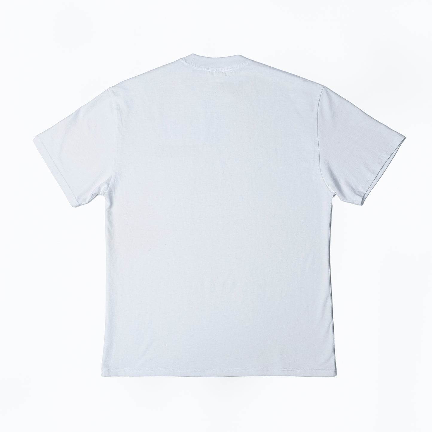 Erra Fitness Mens Heavy faded Tee